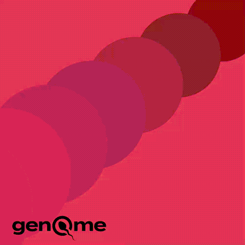 Web Design Collection