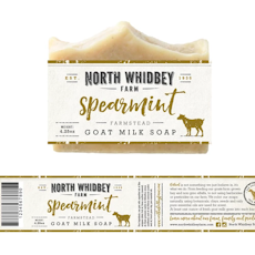 Illustration by Mj.vass